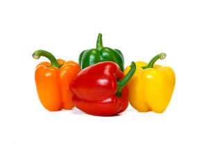 CAPSICUM CALIFORNIA