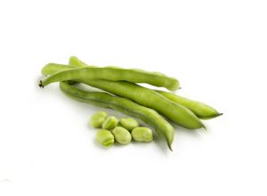 BROAD BEAN
