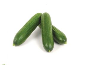 MINI CUCUMBER