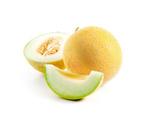 GALIA MELON